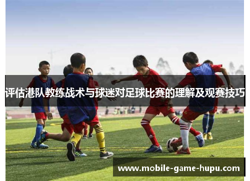 评估港队教练战术与球迷对足球比赛的理解及观赛技巧