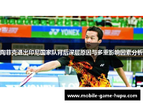 陶菲克退出印尼国家队背后深层原因与多重影响因素分析